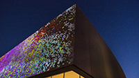 A Murmuration at Contemporary Art Museum St. Louis by Zlatko Cosic